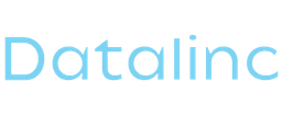Datalinc Logo
